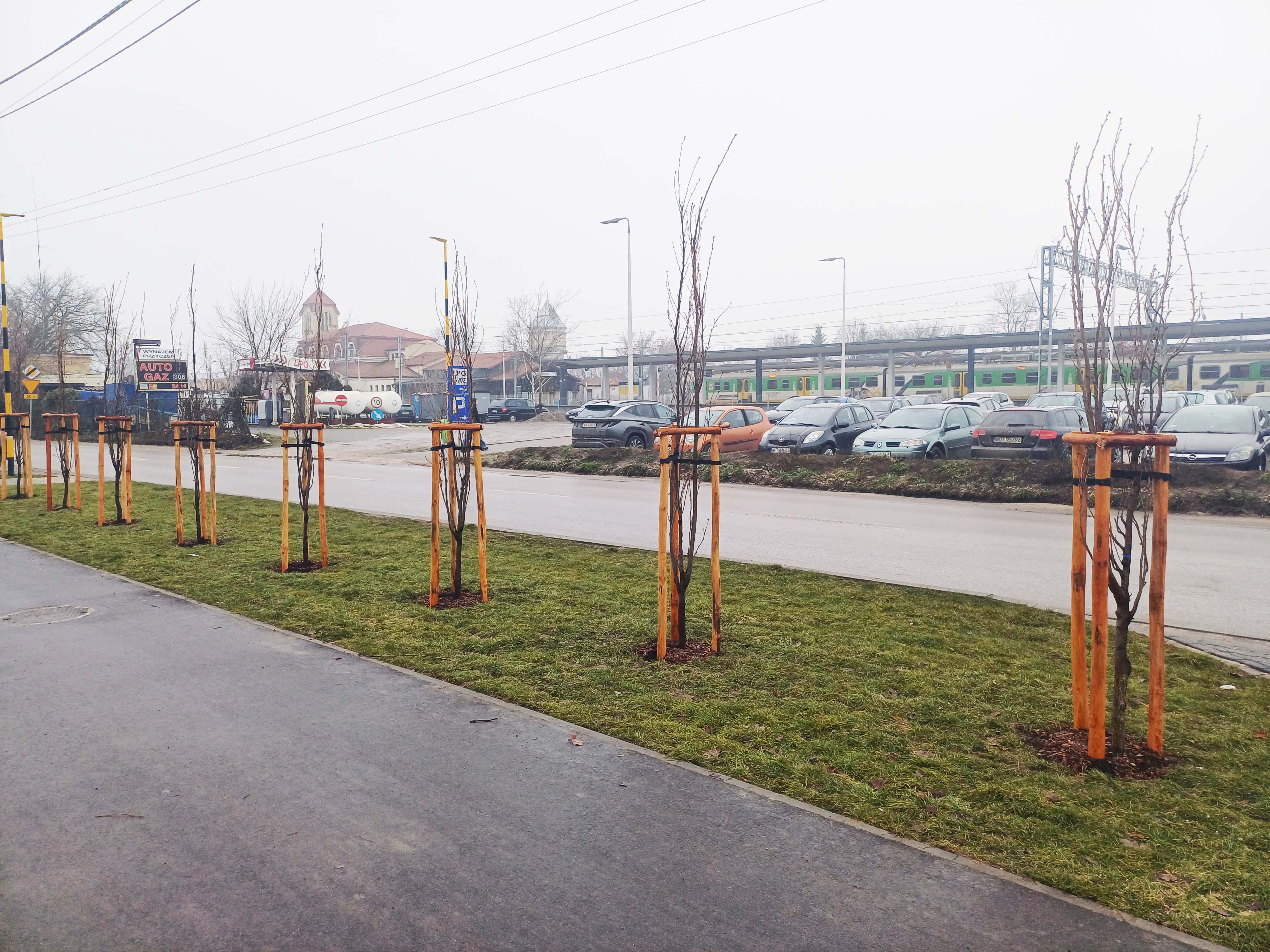 Galeria zdjęć